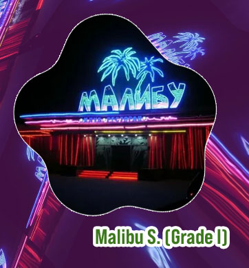 Malibu club casino